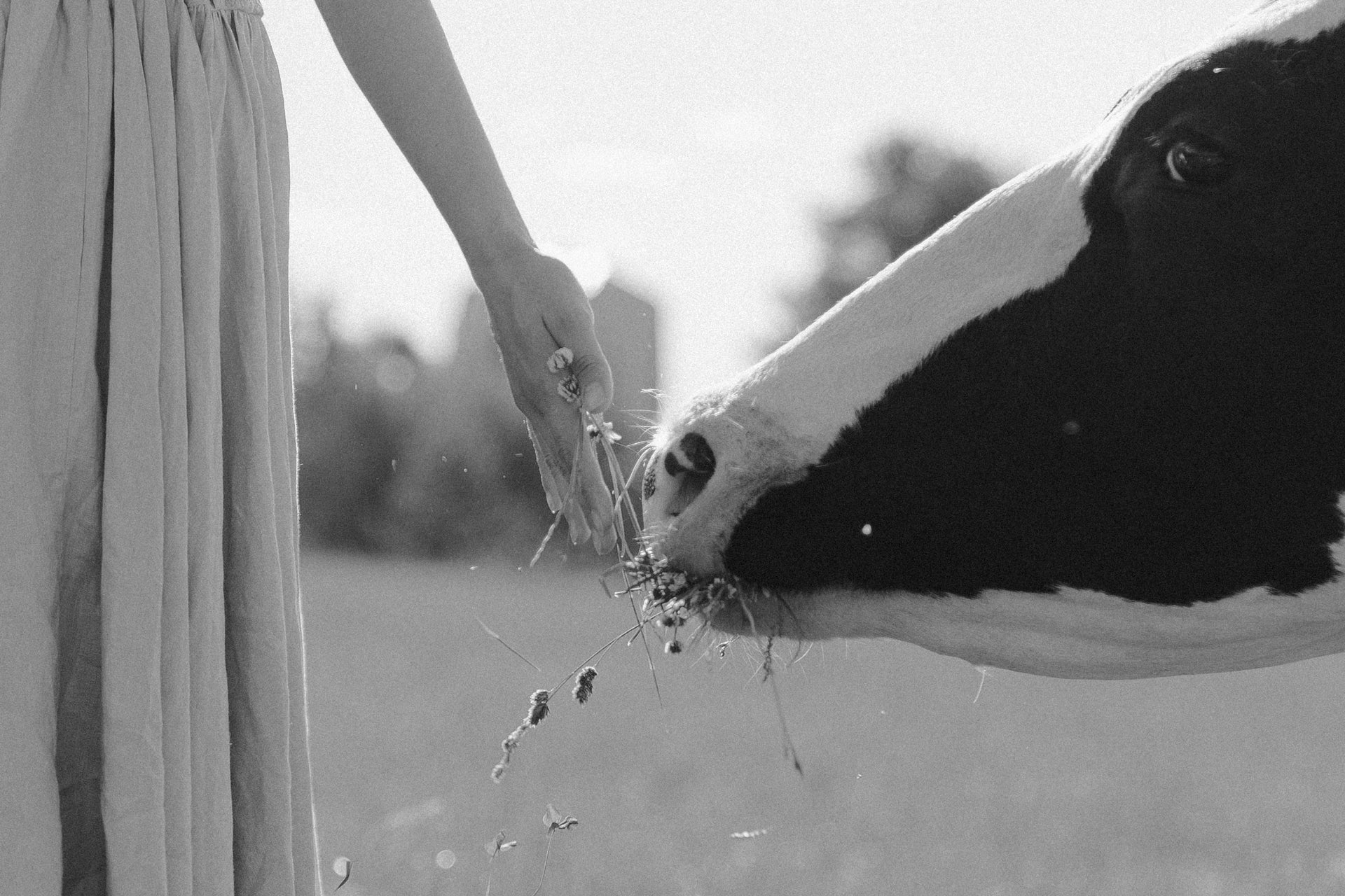 We're Lovers, Not Fighters.