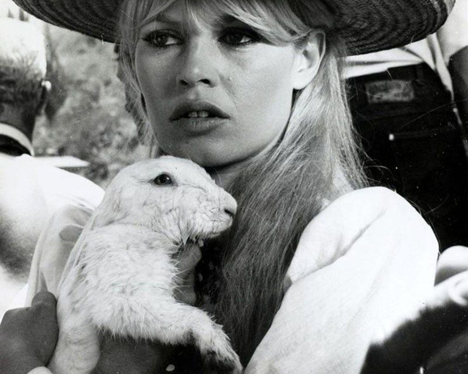 Animals are here with us, not for us.